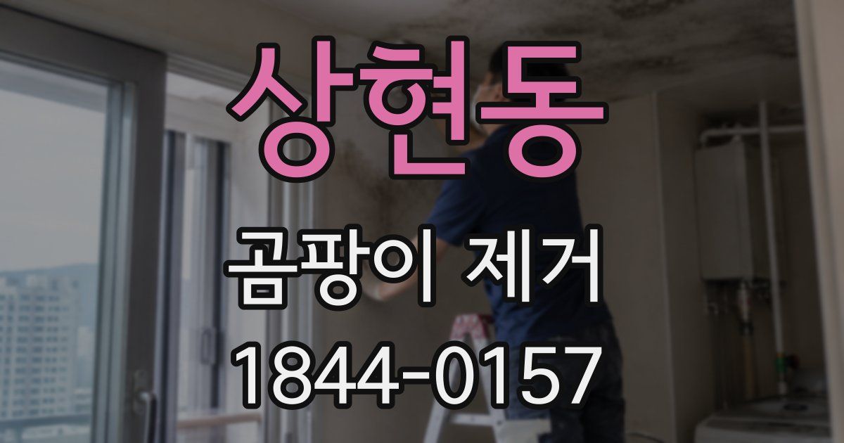상현동 곰팡이 제거