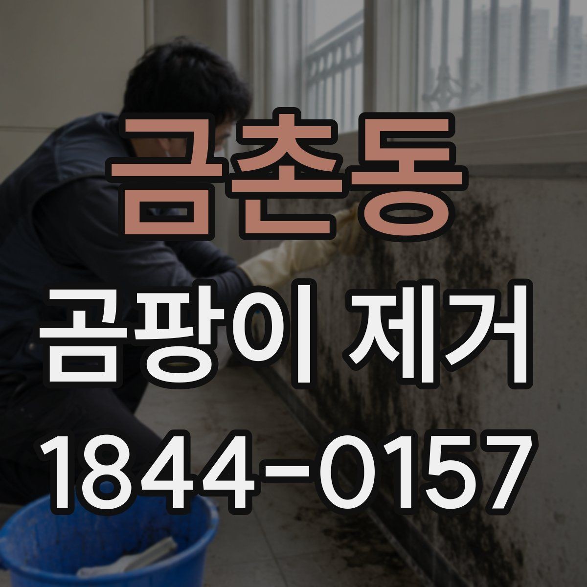 금촌동 곰팡이 제거 침대 뒤와 가구 틈에 숨은 번짐 살피기