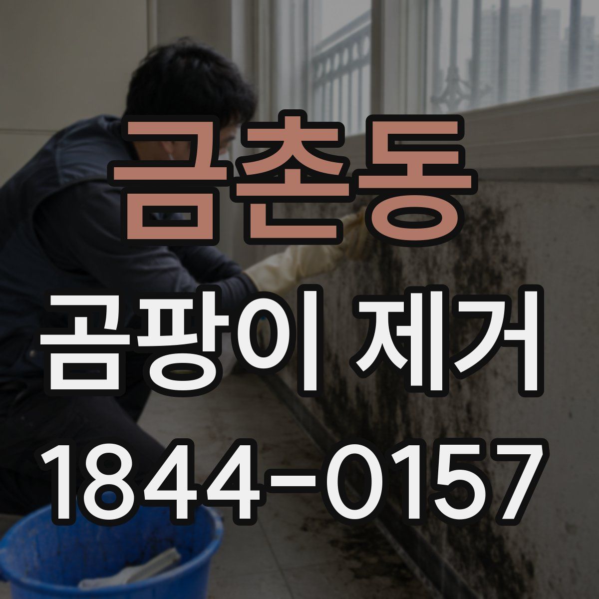 금촌동 곰팡이 제거