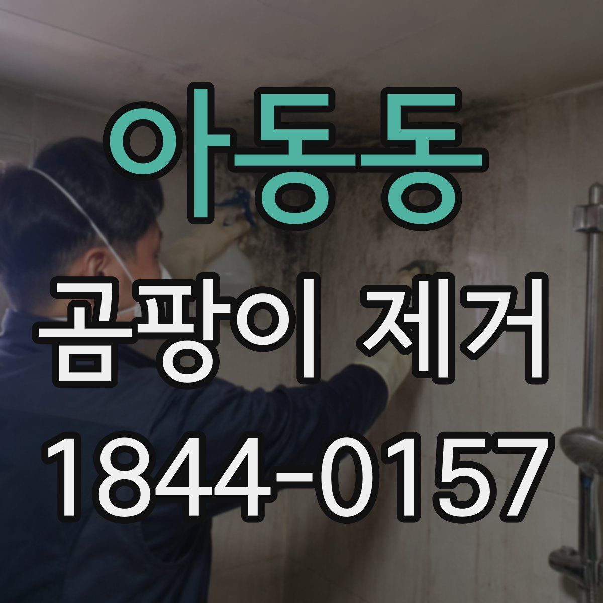 아동동 곰팡이 제거