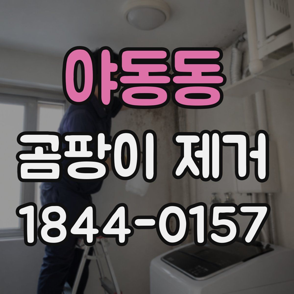 야동동 곰팡이 제거