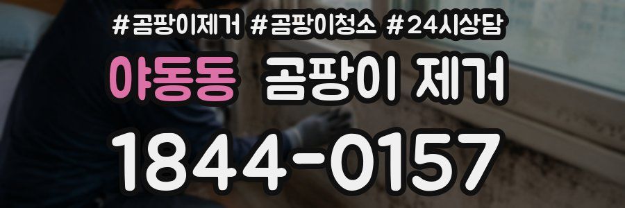 야동동 곰팡이 제거