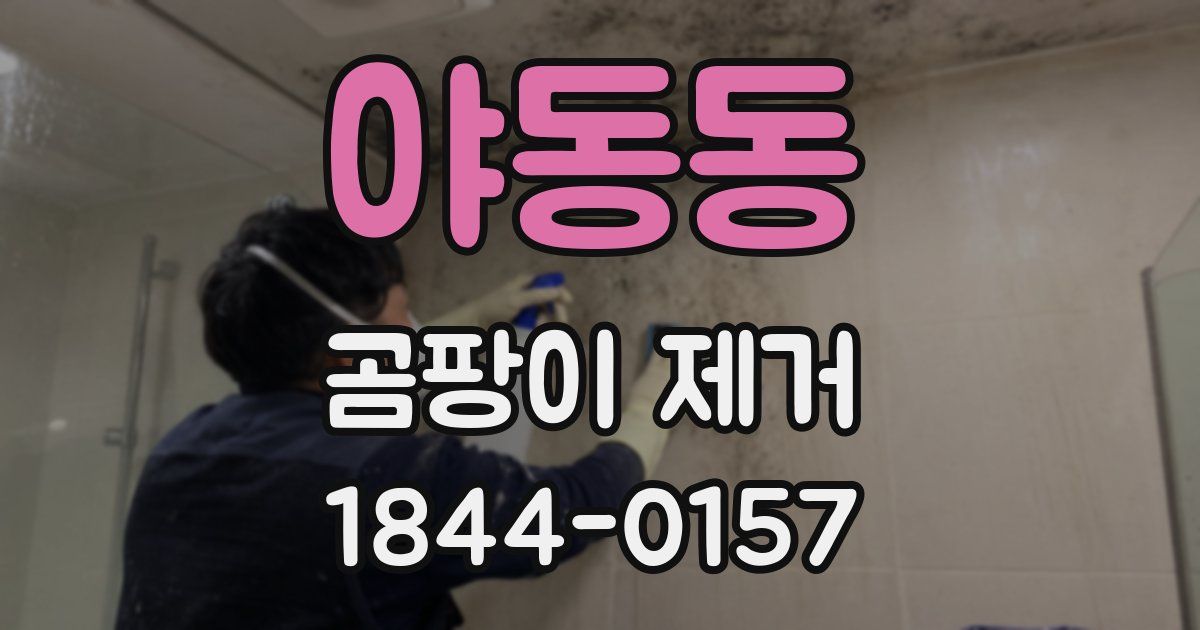 야동동 곰팡이 제거