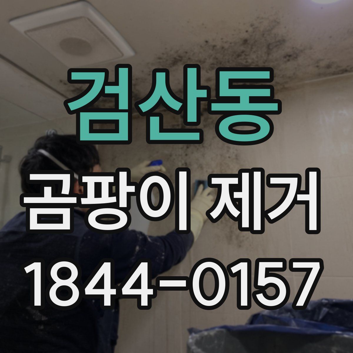 검산동 곰팡이 제거