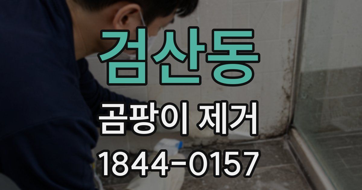검산동 곰팡이 제거