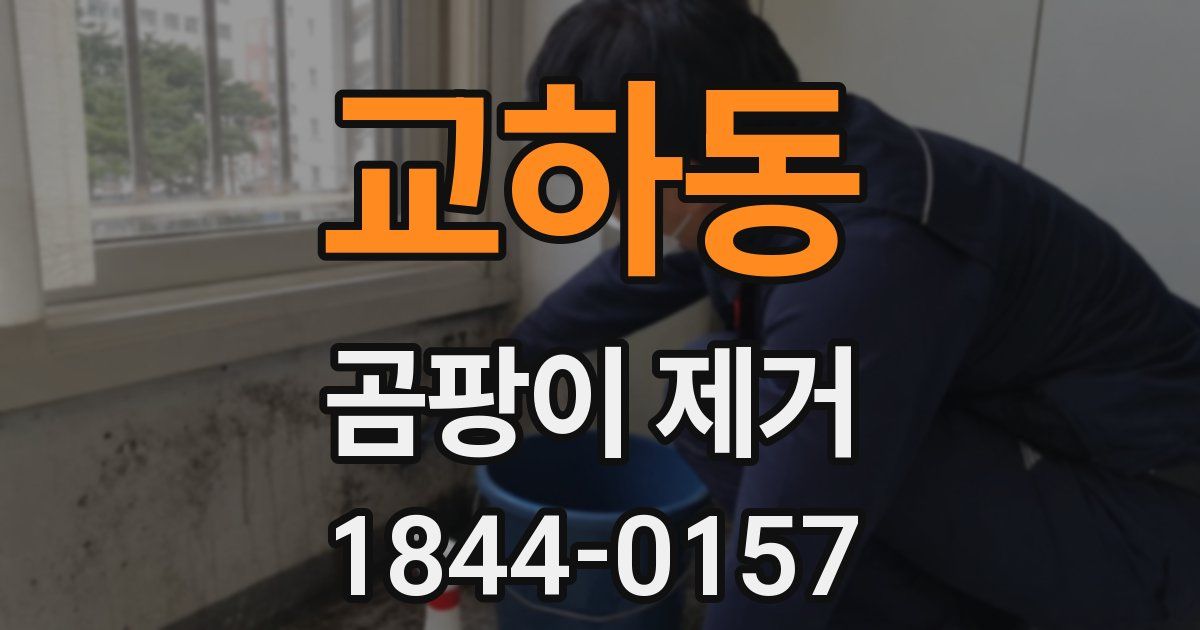 교하동 곰팡이 제거