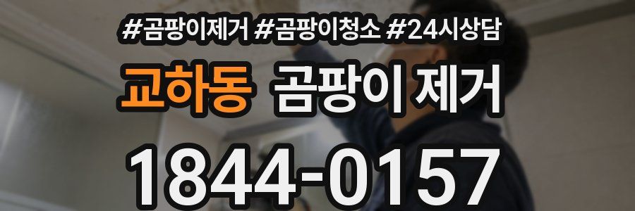 교하동 곰팡이 제거