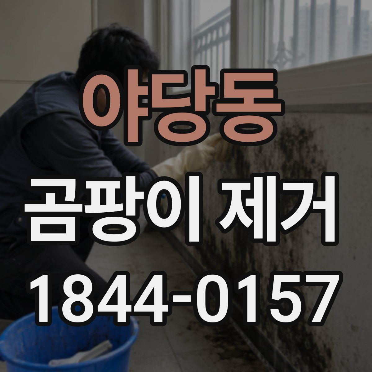 야당동 곰팡이 제거