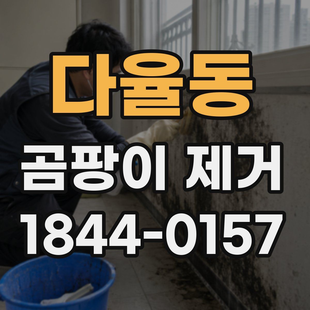 다율동 곰팡이 제거