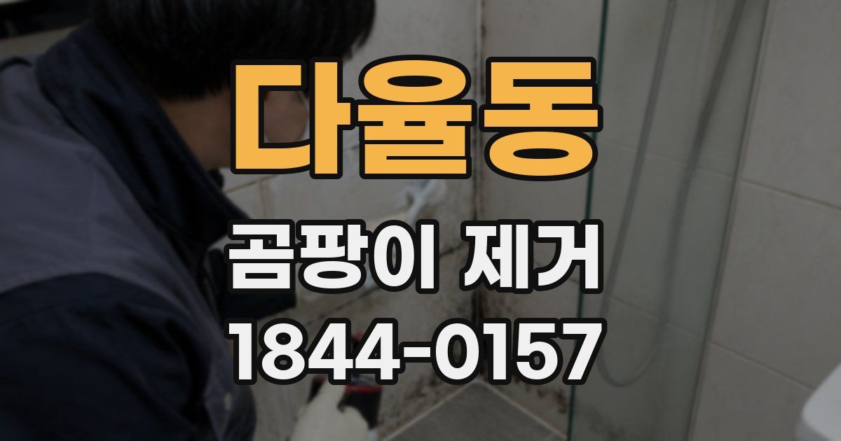 다율동 곰팡이 제거