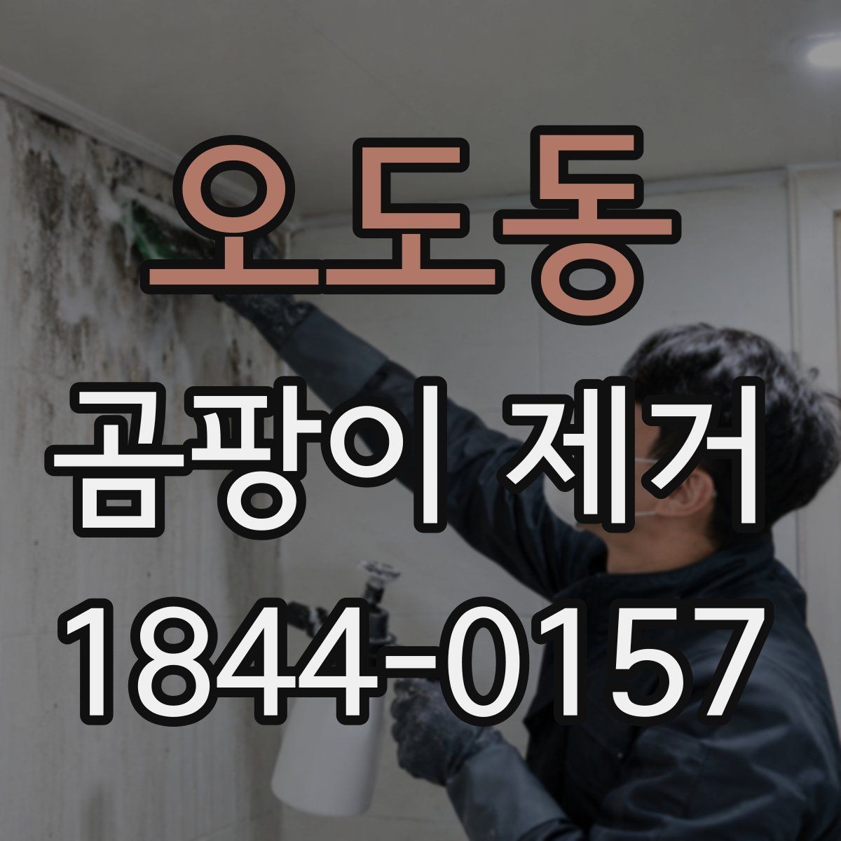 오도동 곰팡이 제거 장농 뒤 숨은 습기 대책과 점검법
