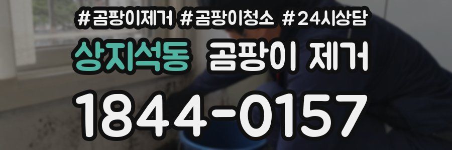 상지석동 곰팡이 제거