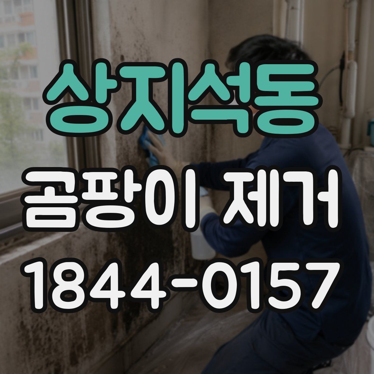 상지석동 곰팡이 제거