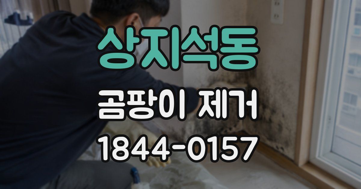 상지석동 곰팡이 제거