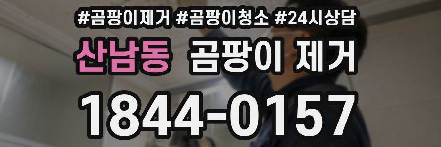 산남동 곰팡이 제거