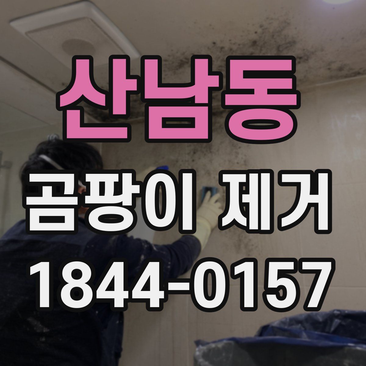 산남동 곰팡이 제거