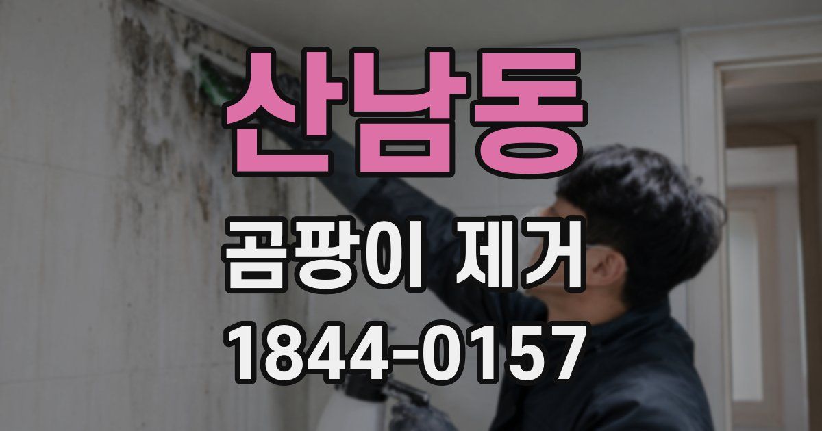 산남동 곰팡이 제거