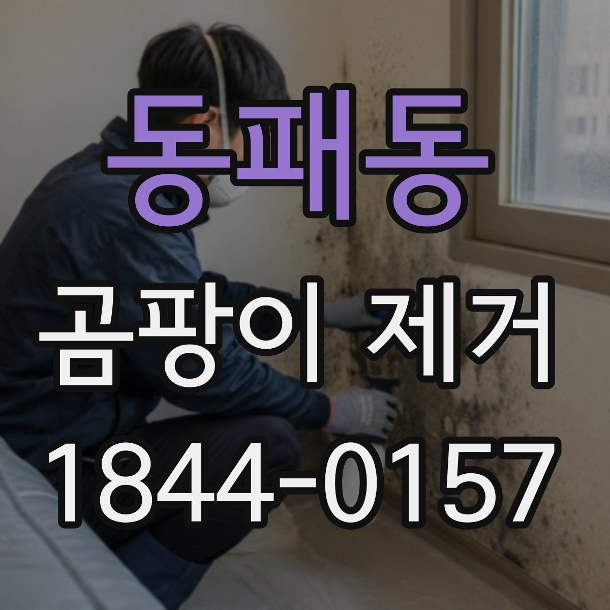 동패동 곰팡이 제거