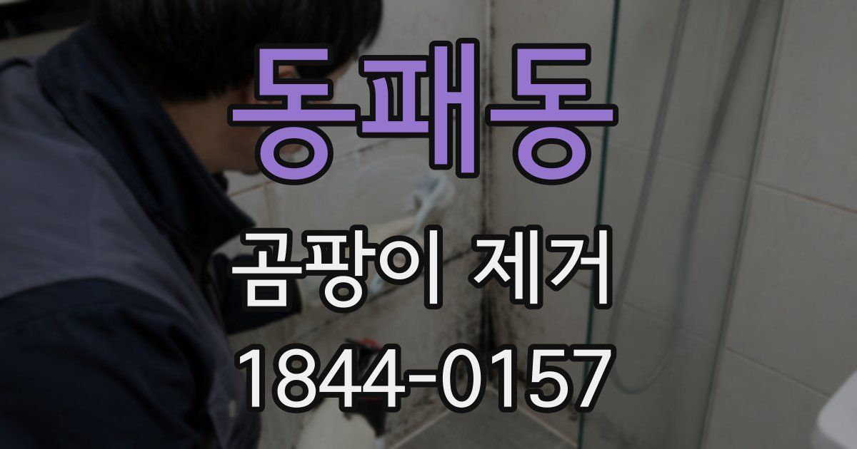 동패동 곰팡이 제거