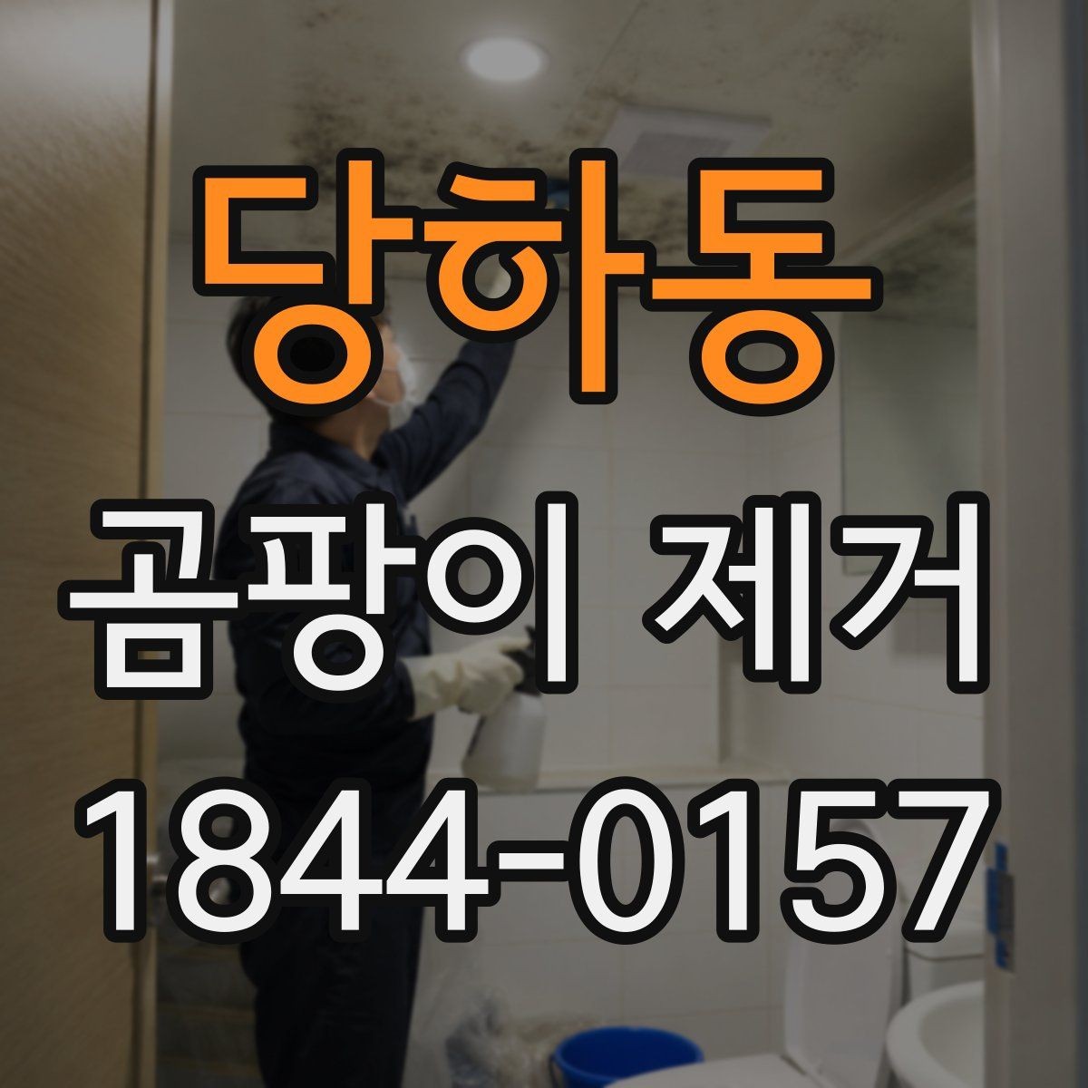 당하동 곰팡이 제거 습기 많은 집에서 먼저 볼 체크리스트