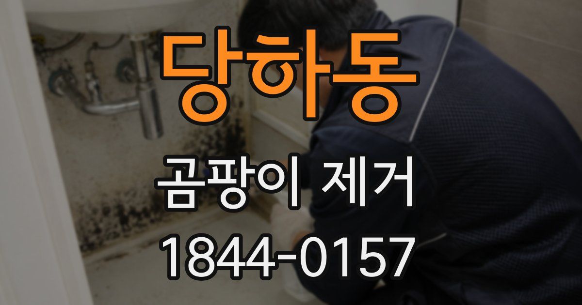 당하동 곰팡이 제거