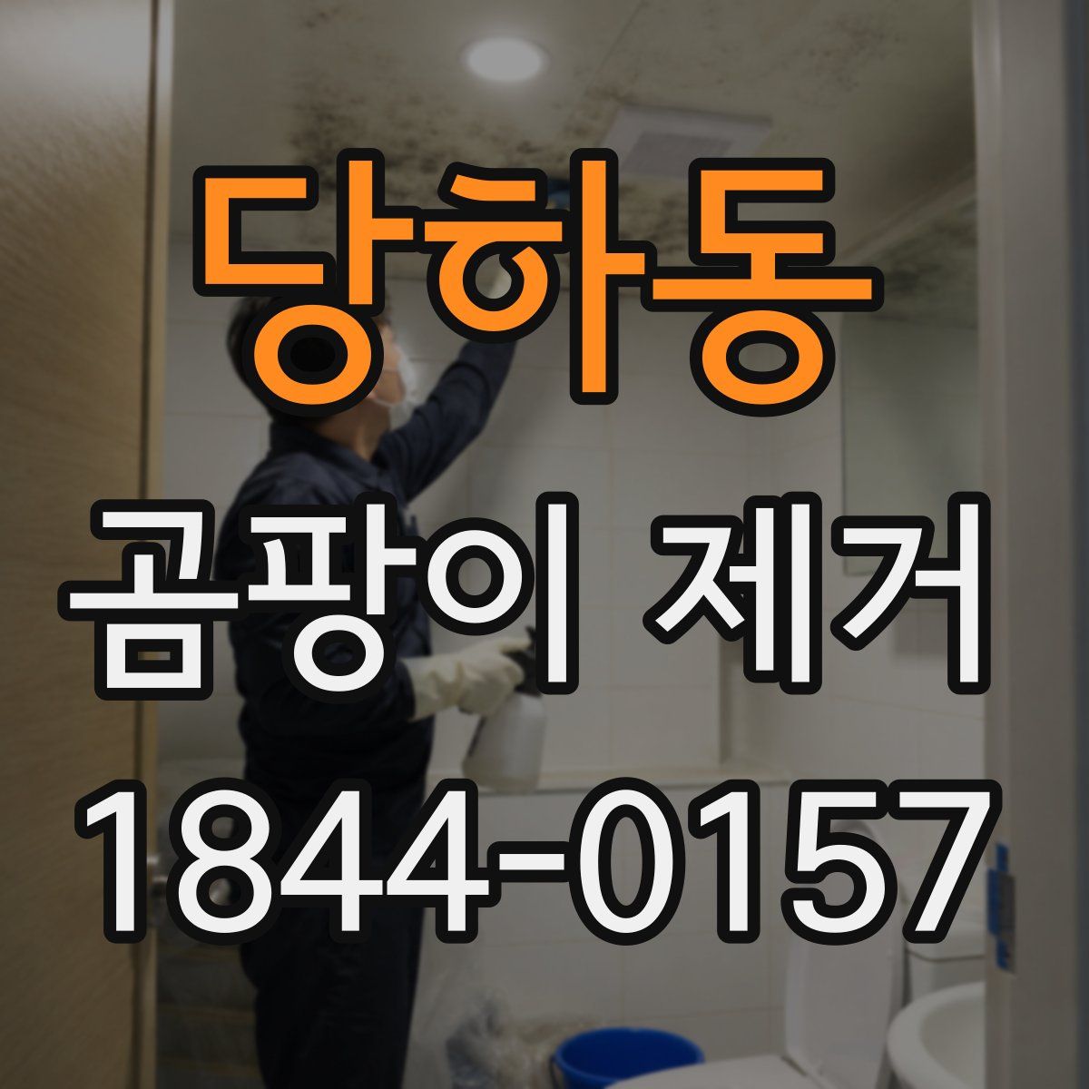 당하동 곰팡이 제거