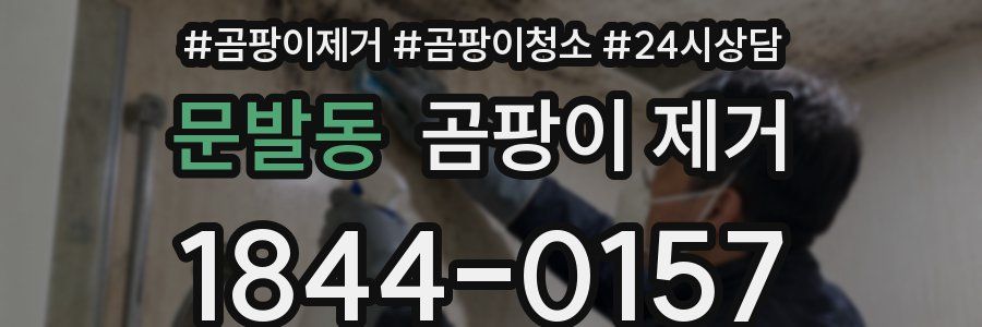 문발동 곰팡이 제거