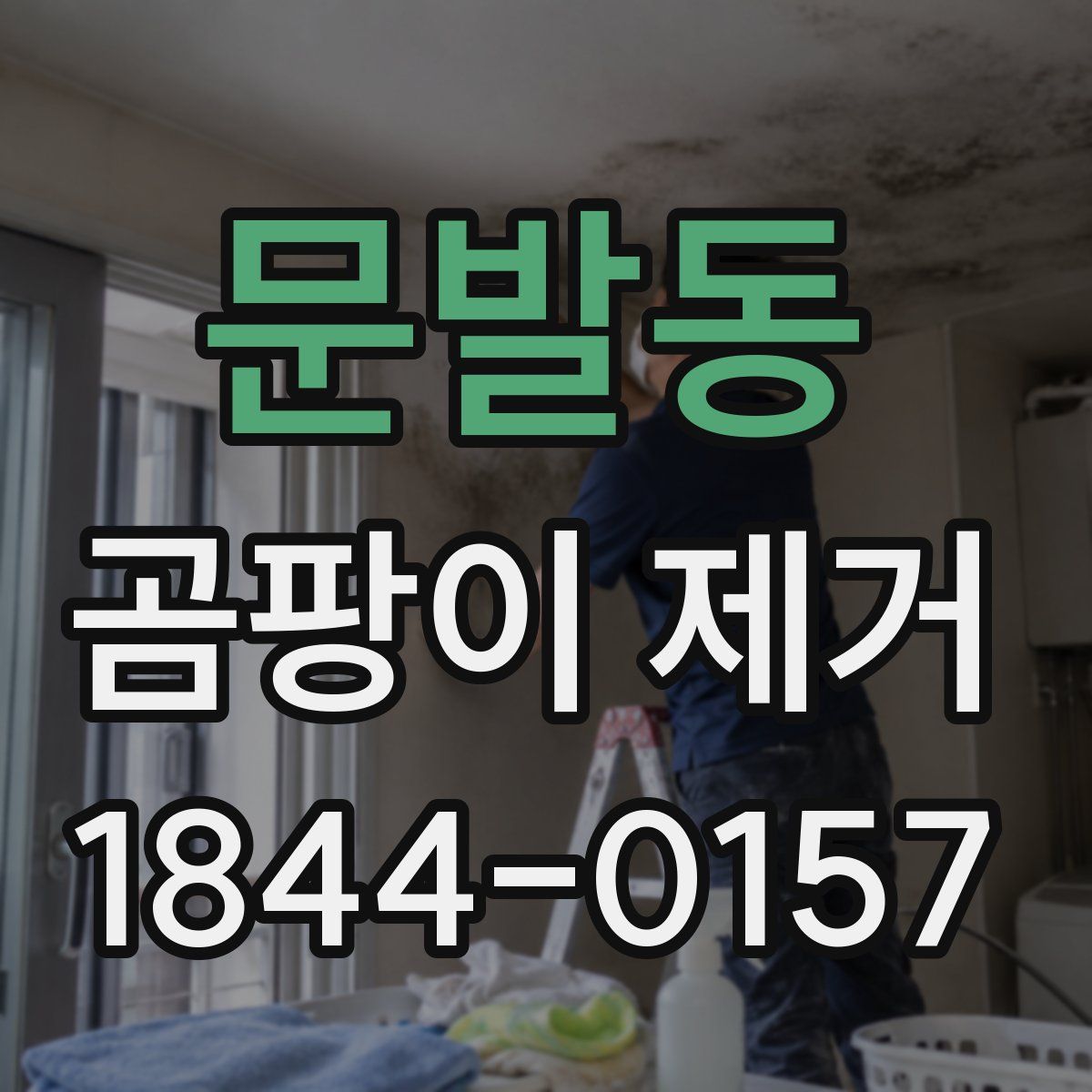 문발동 곰팡이 제거