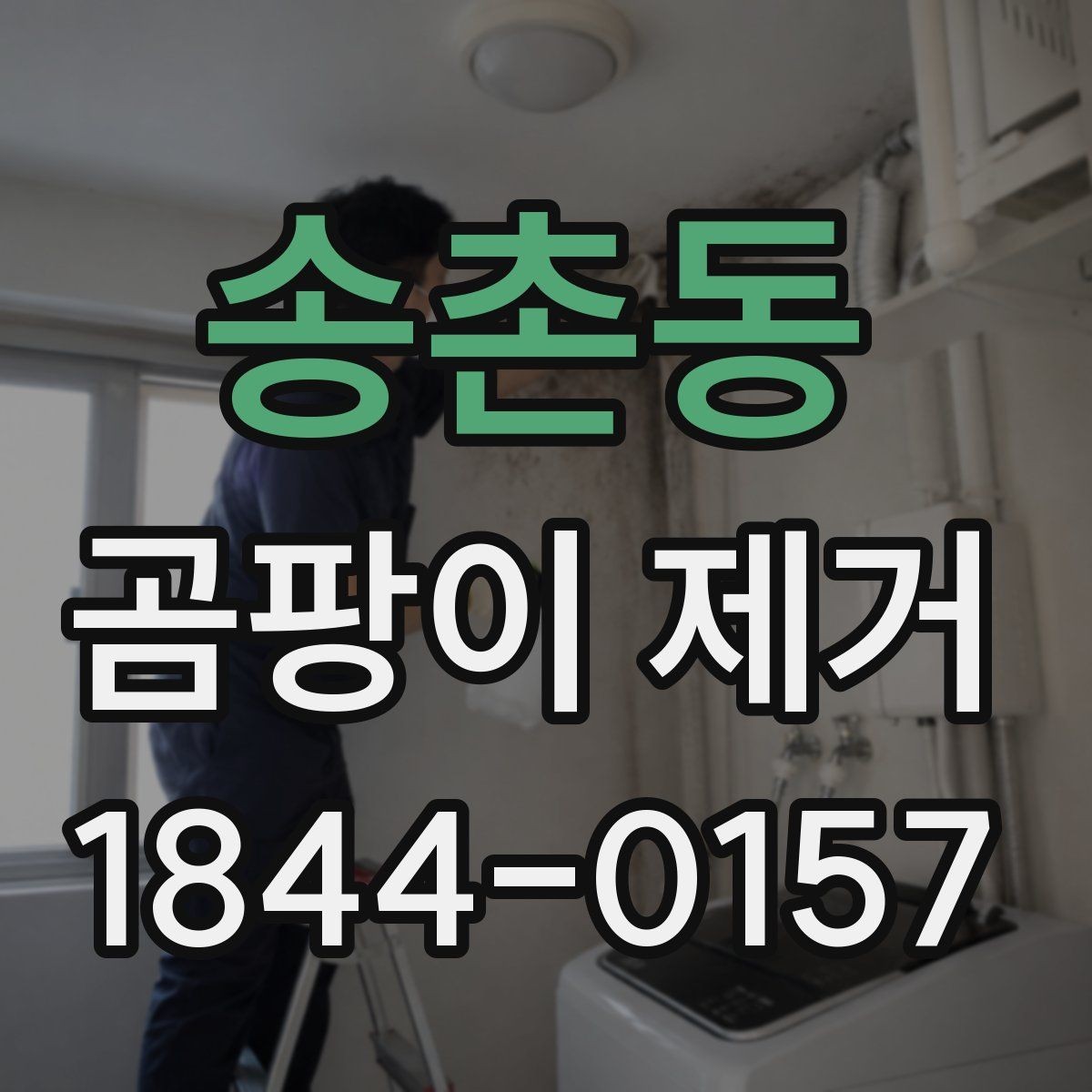 송촌동 곰팡이 제거 욕실 인접 벽면을 다룰 때 주의할 점