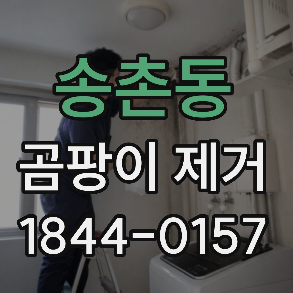 송촌동 곰팡이 제거
