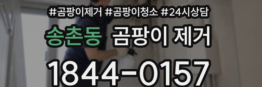 송촌동 곰팡이 제거