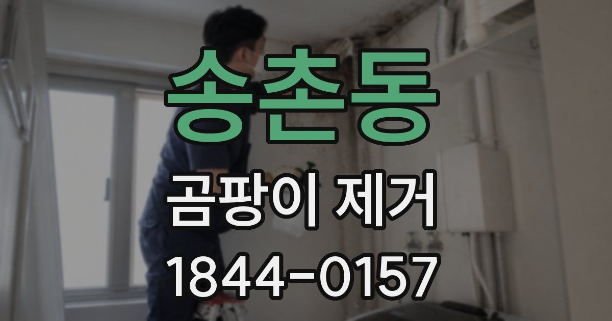 송촌동 곰팡이 제거