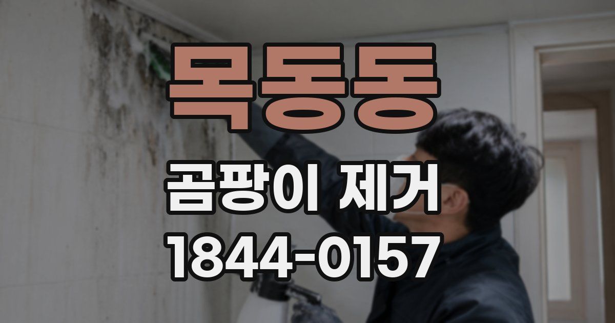 목동동 곰팡이 제거
