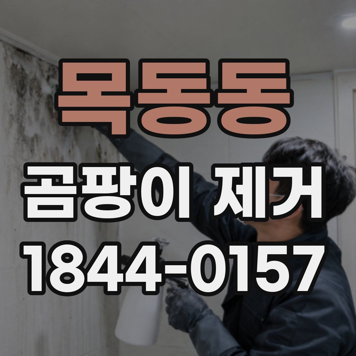 목동동 곰팡이 제거