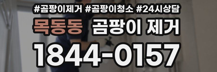 목동동 곰팡이 제거