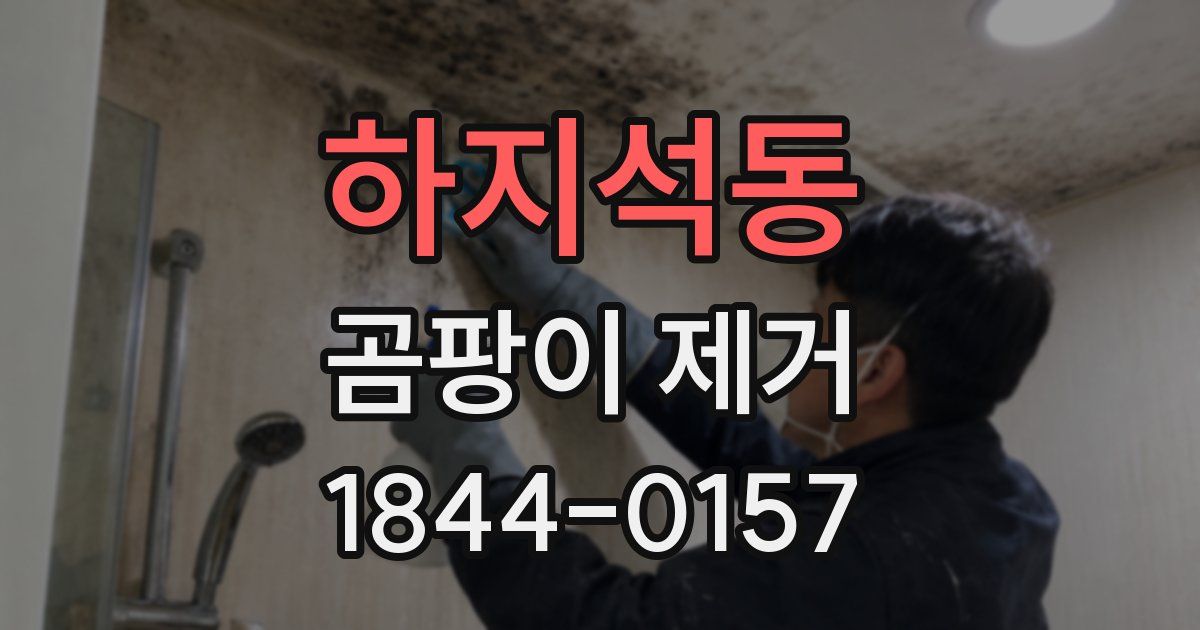 하지석동 곰팡이 제거