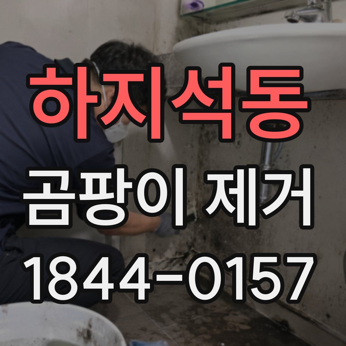 하지석동 곰팡이 제거