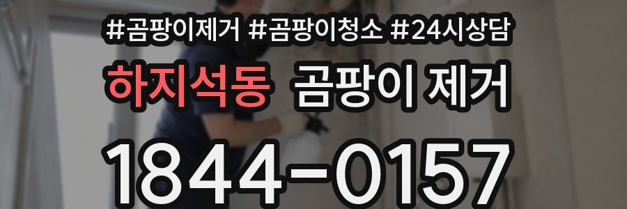 하지석동 곰팡이 제거