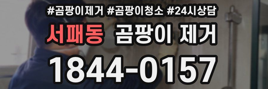 서패동 곰팡이 제거
