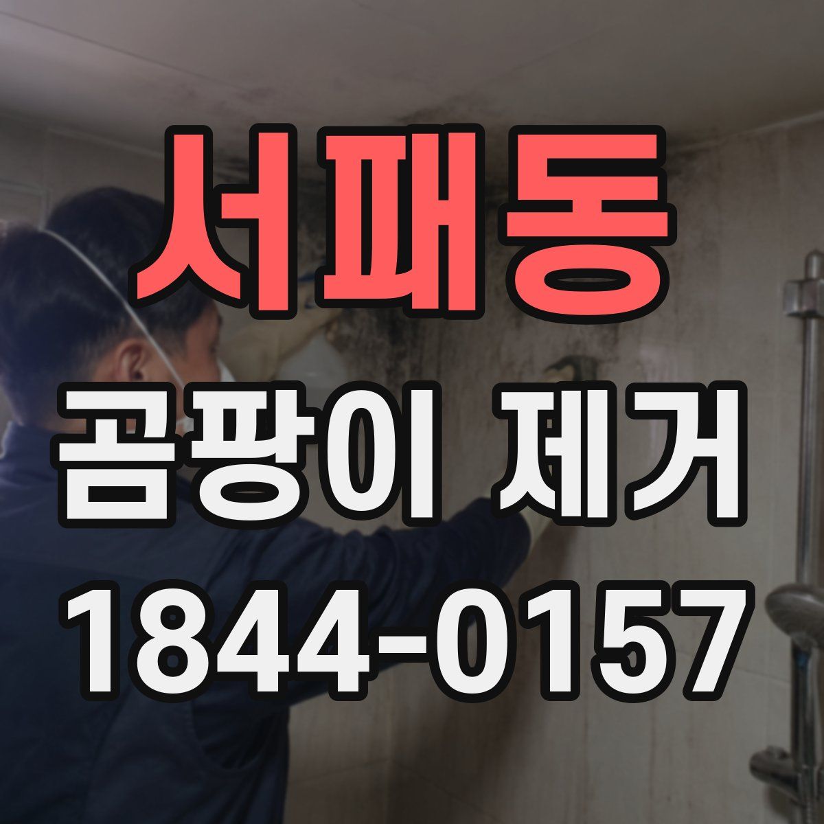 서패동 곰팡이 제거
