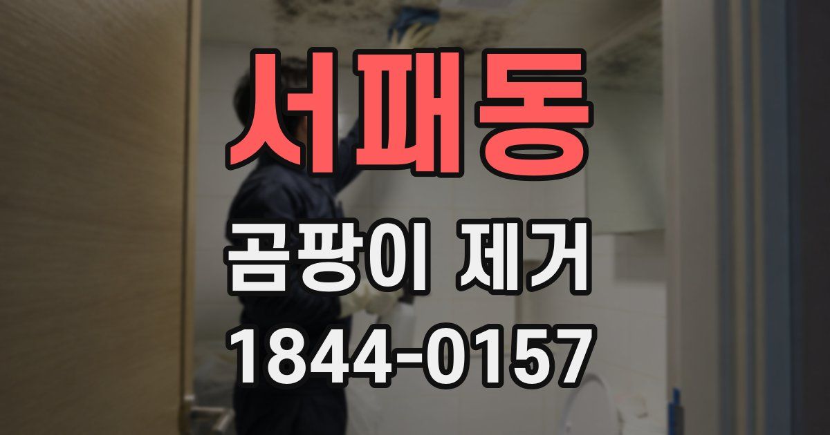 서패동 곰팡이 제거