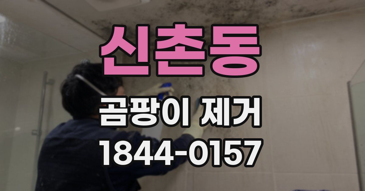 신촌동 곰팡이 제거