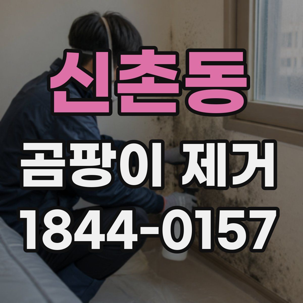 신촌동 곰팡이 제거