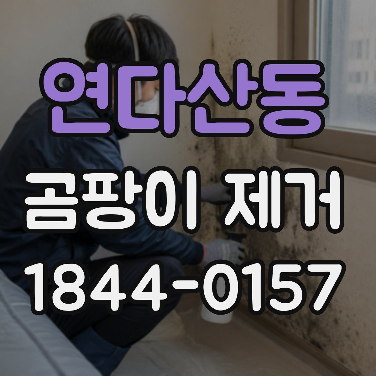 연다산동 곰팡이 제거