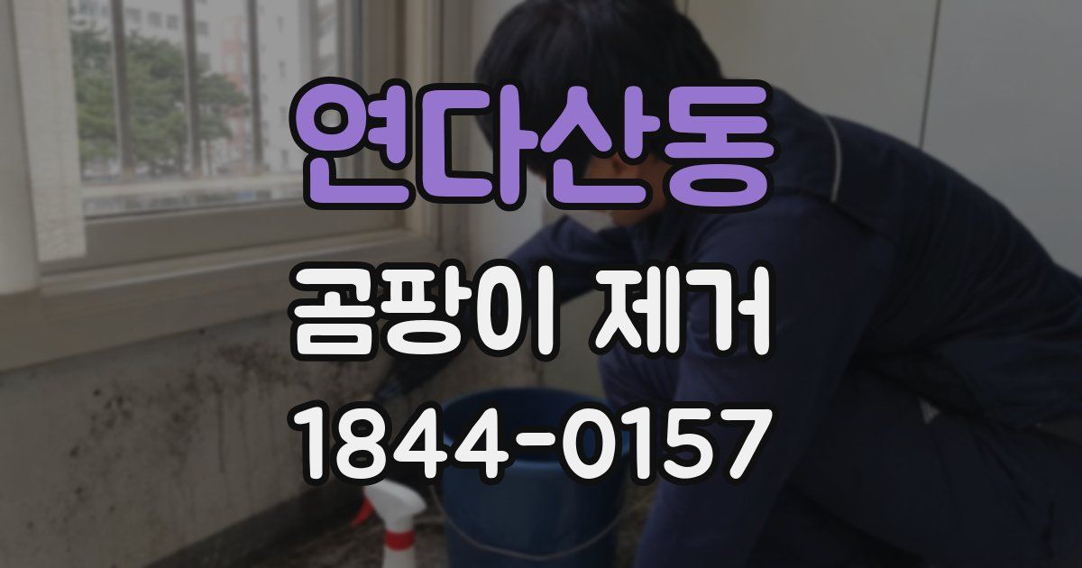 연다산동 곰팡이 제거