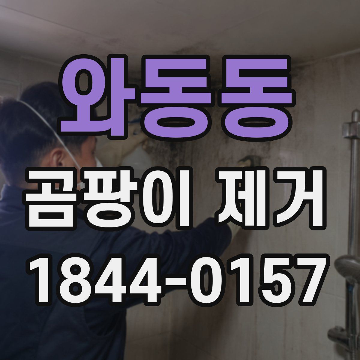와동동 곰팡이 제거