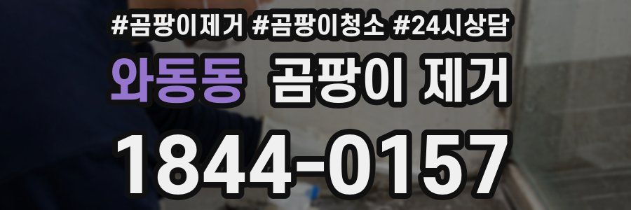 와동동 곰팡이 제거
