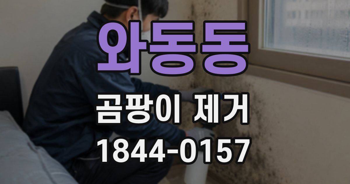 와동동 곰팡이 제거
