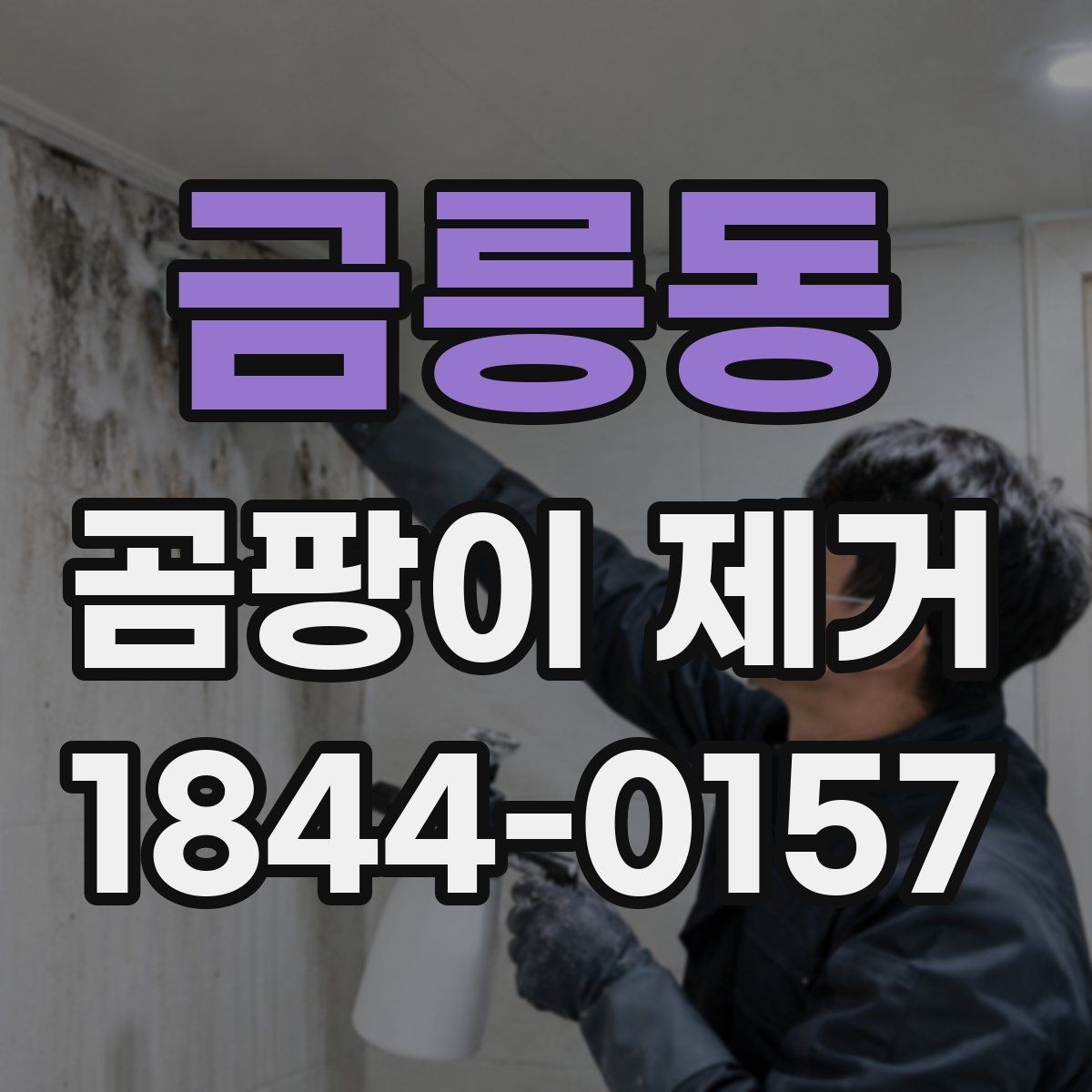 금릉동 곰팡이 제거 집안 습관부터 점검해야 하는 이유