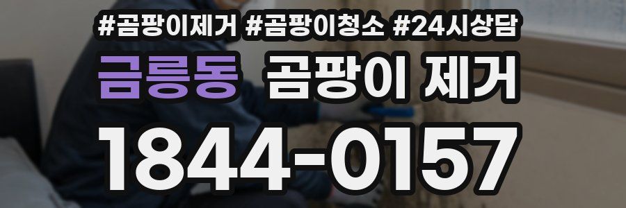 금릉동 곰팡이 제거
